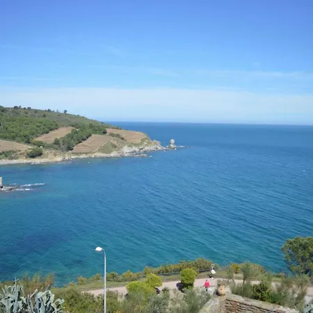 Appartement Lumineux 2 Pieces Avec Vue Mer, Parking Et Wifi A Banyuls-Sur-Mer - Fr-1-225C-16 Apartment
