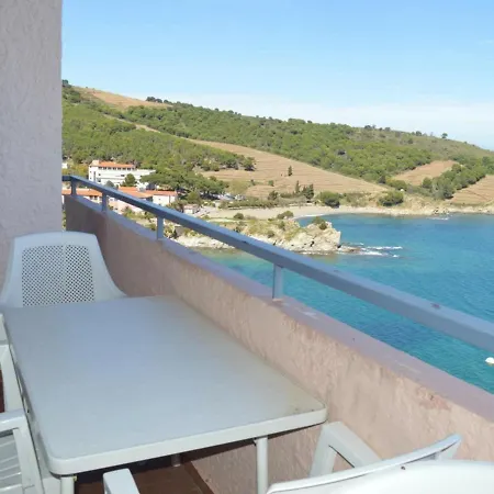 Appartement Lumineux 2 Pieces Avec Vue Mer, Parking Et Wifi A Banyuls-Sur-Mer - Fr-1-225C-16