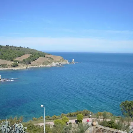 Apartment Appartement Lumineux 2 Pieces Avec Vue Mer, Parking Et Wifi A Banyuls-Sur-Mer - Fr-1-225C-16